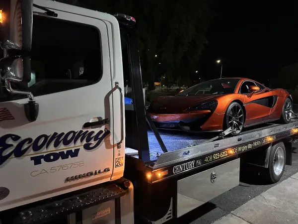 Economy Tow - photo 3