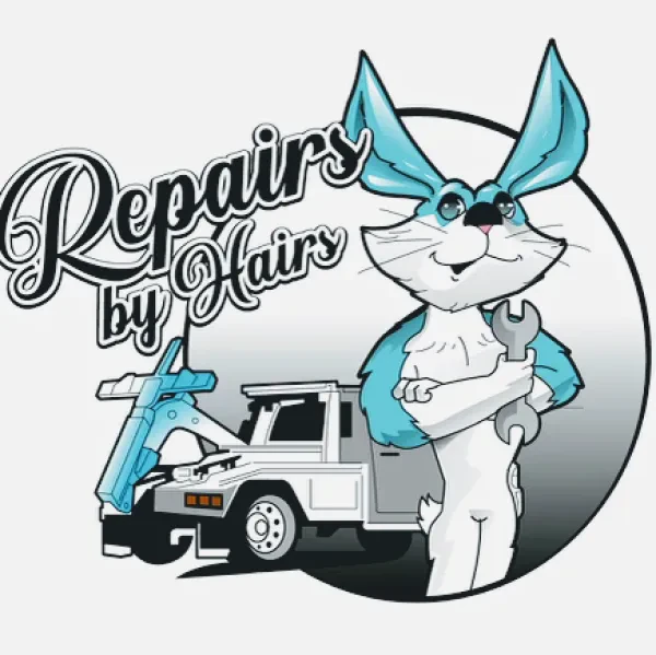Repairs by hairs - photo 2