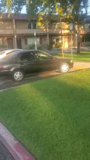 A Action Towing & Recovery