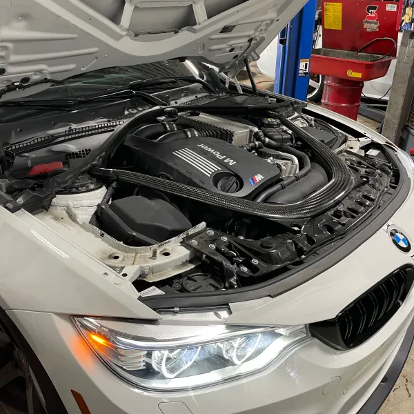 Real Autohaus Automotive Arlington Heights - photo 4