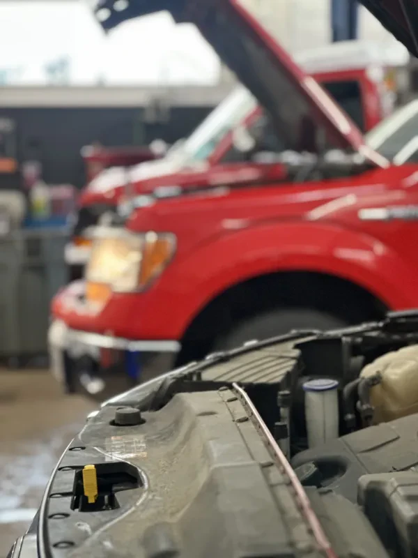 Real Autohaus Automotive Rolling Meadows - photo 4