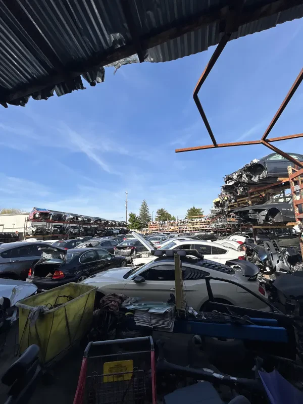 European Plus Auto Parts - photo 3