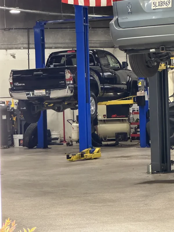 Shannon Family Automotive - photo 3