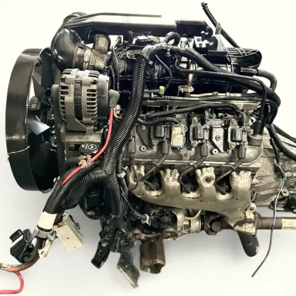 JDM Orlando, Inc - photo 2