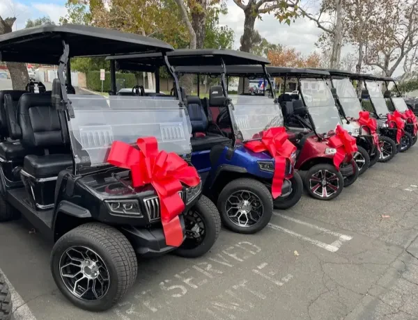 Apex Golf Carts - photo 4