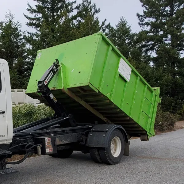 Eco-Dumpster - photo 4