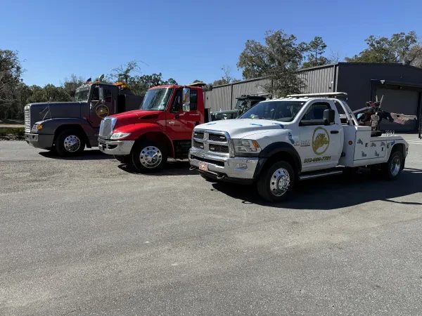 Barefoot Towing - photo 4