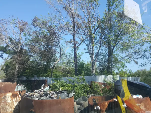 Holly Hill Salvage & Junk - photo 2