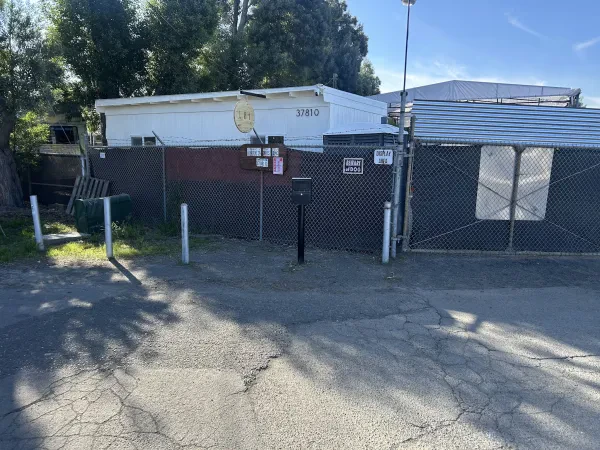 Longoria Bros Towing & Auto Inc - photo 2