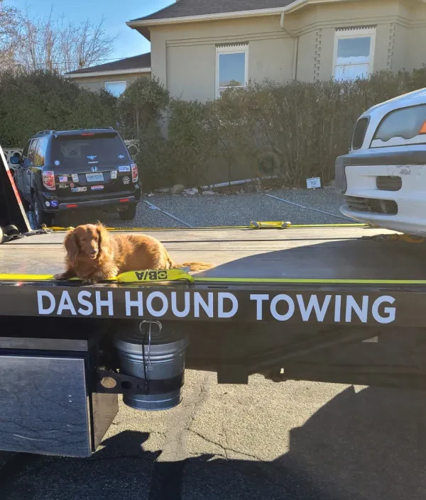 Dash Hound Towing & OFF Road Recovery - photo 2