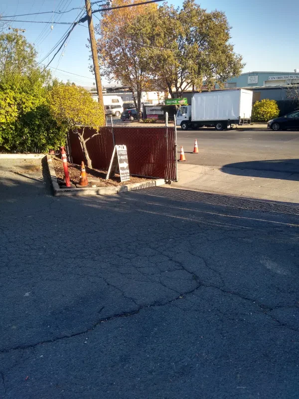 Rapid Recycle - photo 2