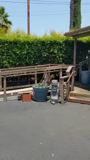Skyline Recycling