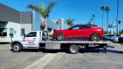 Nguoi Viet Towing