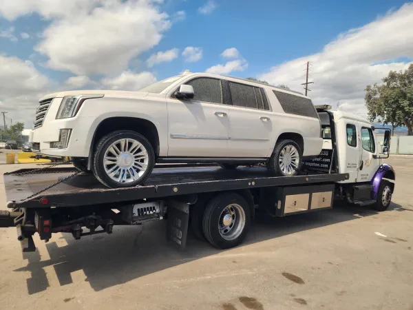 XRays Towing - photo 2