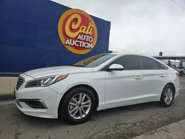 Cali Auto Auction Pomona - photo 3