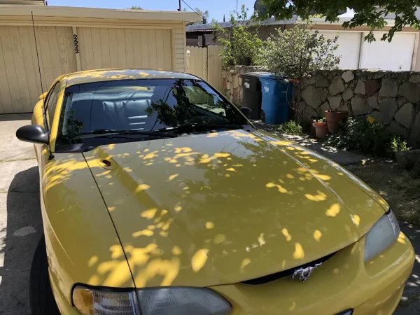 Peninsula Auto Glass - photo 2