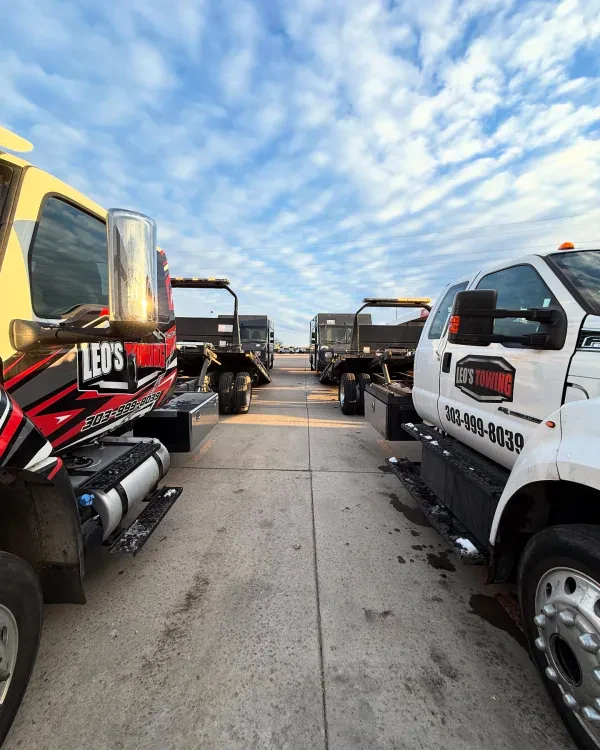 Leo's Towing - photo 4