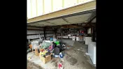 Junk Panda