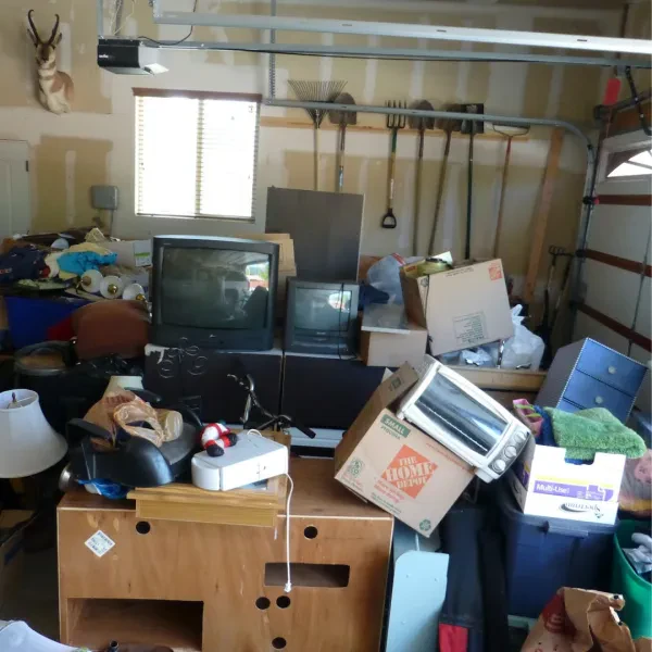 Junk Panda - photo 2