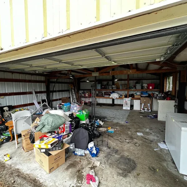 Junk Panda - photo 3