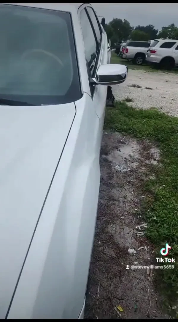 Cheap and Clean Towing - photo 2