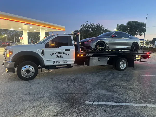 Servigruavila Towing - photo 3