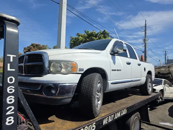 Sophia Best Transport Inc - photo 2