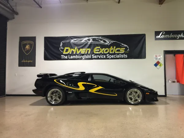 Driven Exotics - photo 2