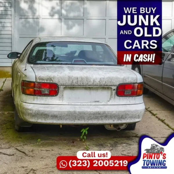 Pintos Towing - photo 3
