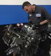 Bimmer Connection