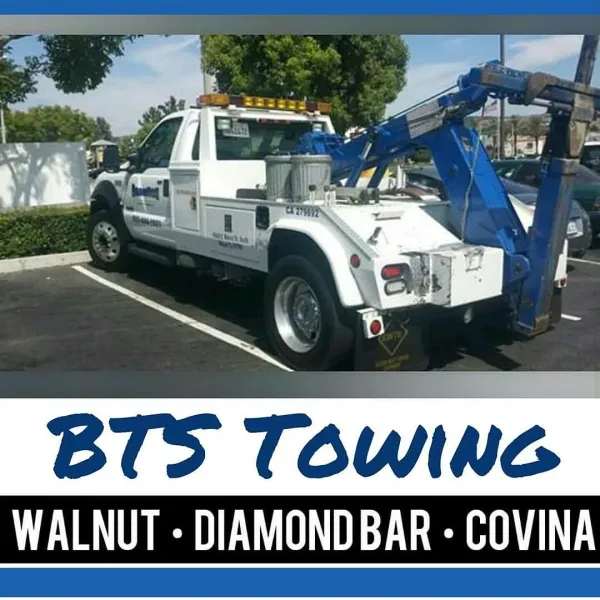 BTS Towing and Transport - photo 2