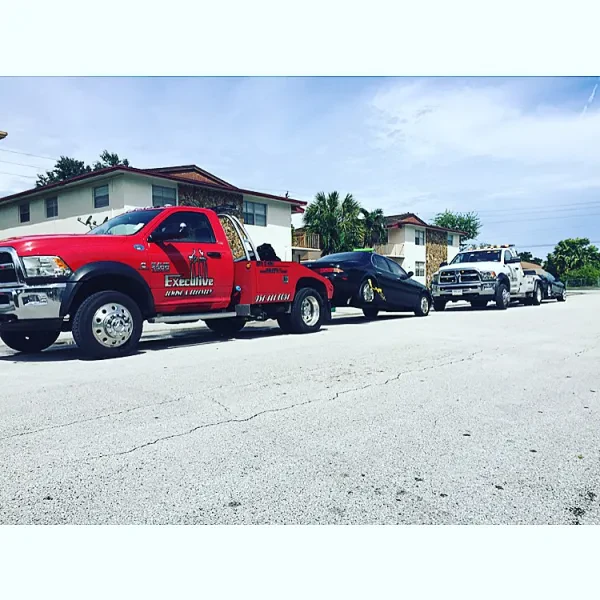 Executive Towing and Recovery inc - photo 2