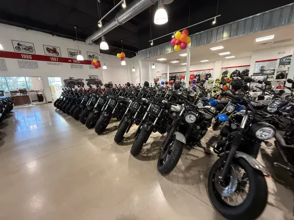 Honda of Melbourne - photo 3