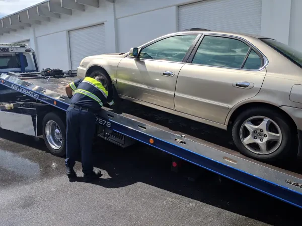 Kelle Sheehan's Towing LLC - photo 4