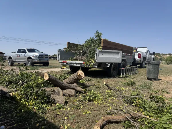 Easy Load NM Junk Removal - photo 4