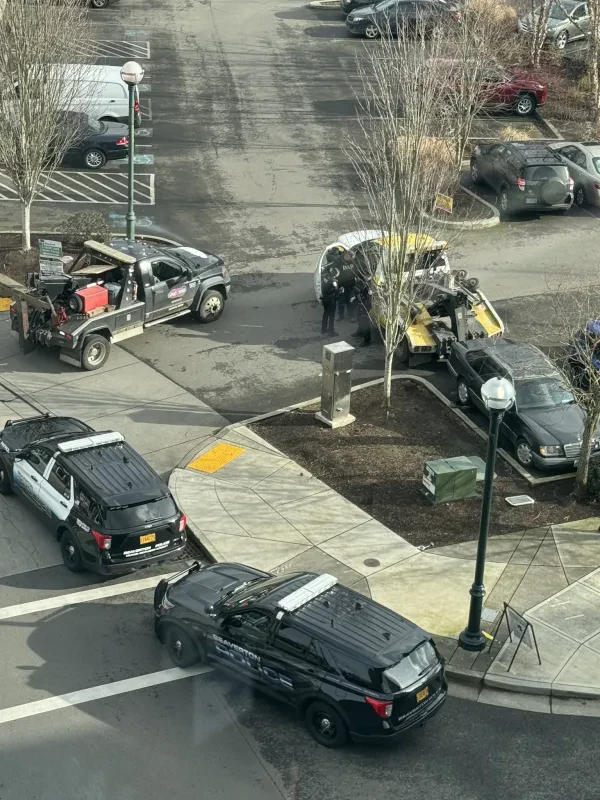 Pro Tow - photo 2