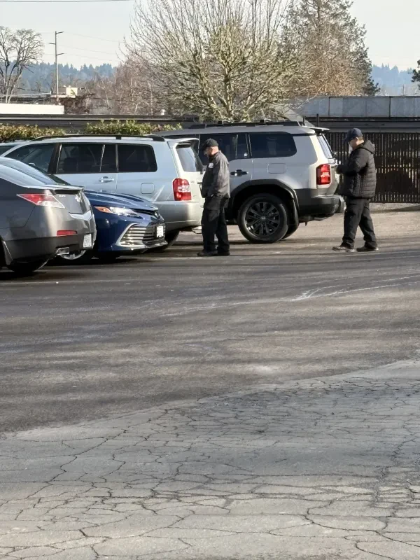 Pro Tow - photo 4