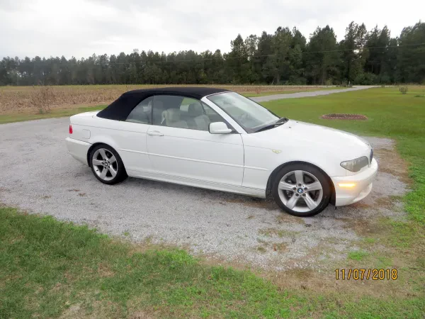 Patrick's Domestics & Imports - photo 3