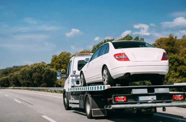 Treztowing - photo 4