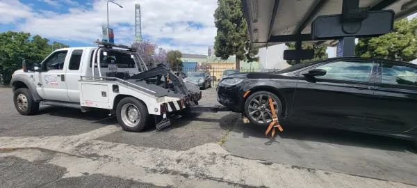 Segura's Towing - photo 2