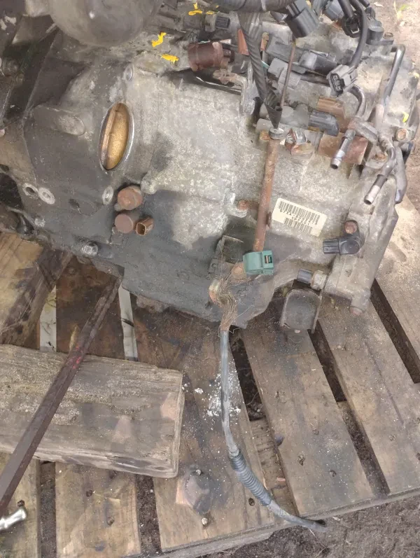 Palmetto Auto Service - photo 2