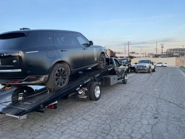 Ben Towing - photo 3