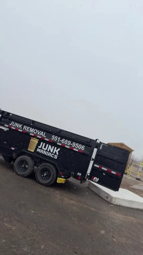 Junk Maniacs - photo 2