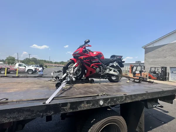 AP Custom Transport - photo 2