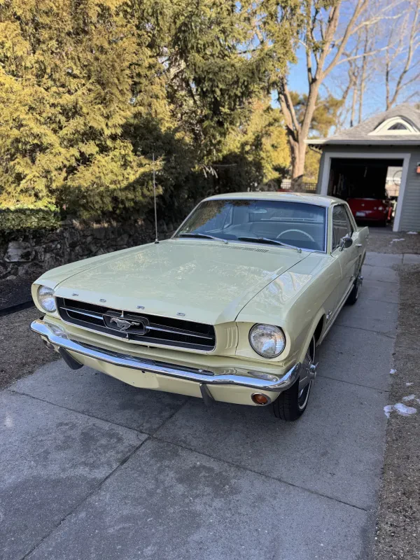 Luzo Auto Body - photo 3