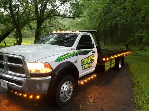 Lowe's Tows - photo 4