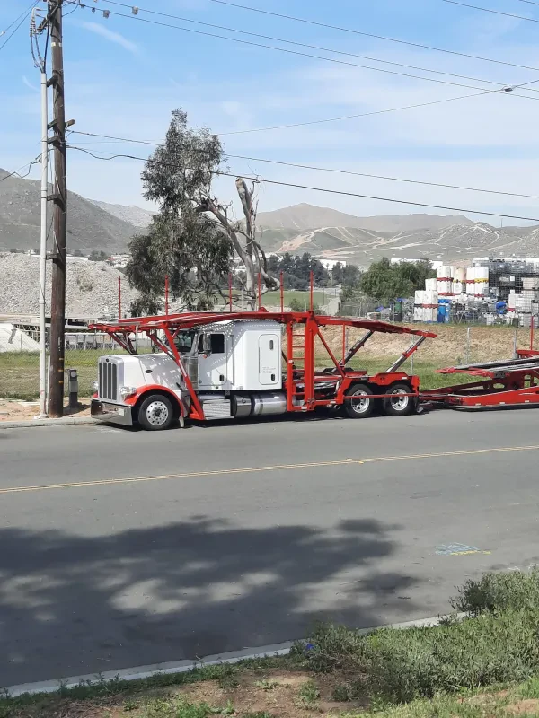 ADESA FLEETWOOD LOT - photo 3