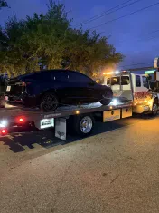 Professional Towing