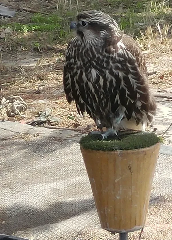 Recology San Francisco - photo 4
