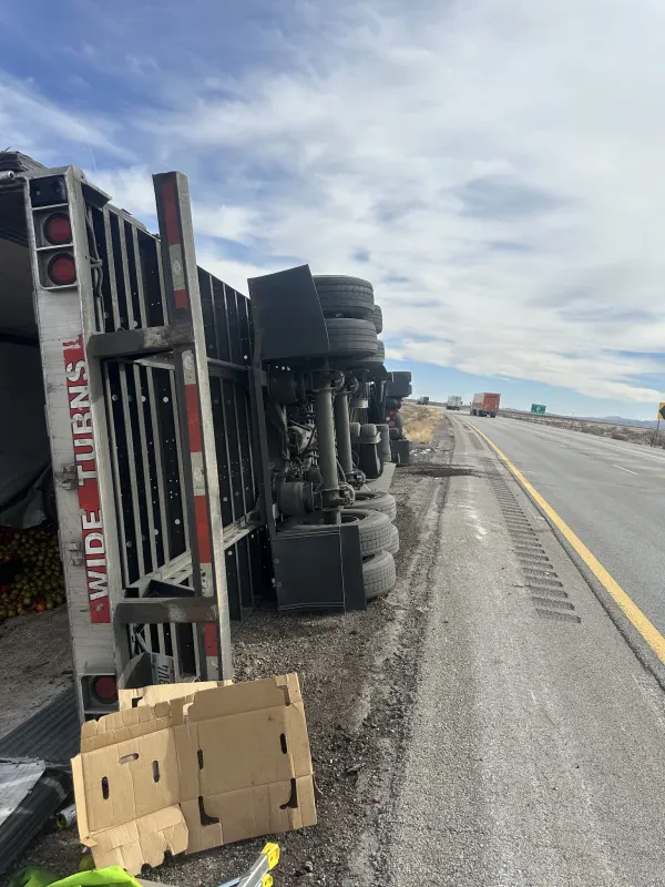 Silverback Towing - photo 4